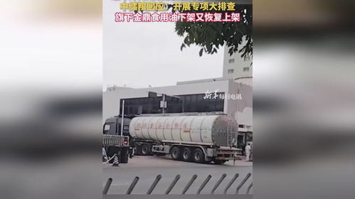 食用油安全風波再起 中儲糧金鼎疑遭污染，官方緊急行動凸顯行業隱憂