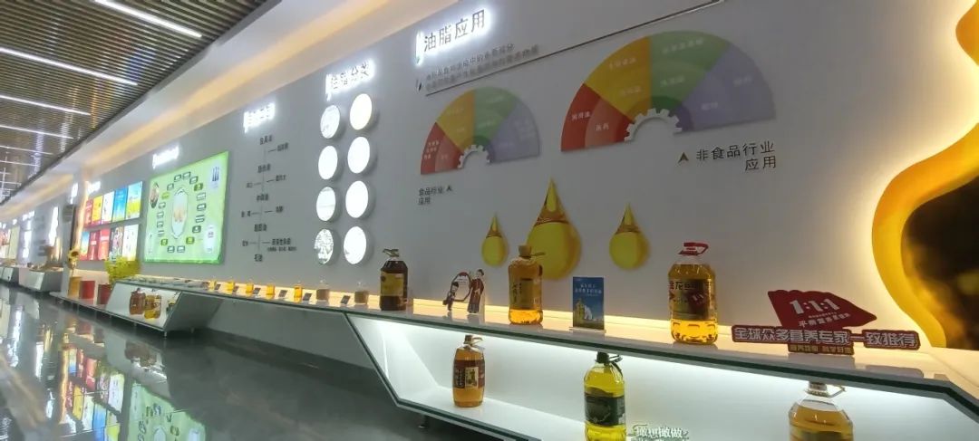 消費者親探益海嘉里金龍魚工廠 開啟安全健康之旅，探尋放心食用油的奧秘