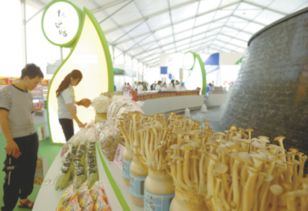 規模大、檔次高、印象深 打造邢臺農產品新形象的“正餐服務”之道